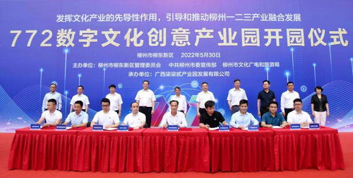 广西首家数字文化创意产业园在柳州投入使用，推动数字内容应用服务新发展