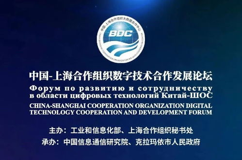 数字赋能龟兹文化 上合框架下的文化传承与产业融合新路径